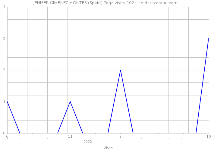 JENIFER GIMENEZ MONTES (Spain) Page visits 2024 