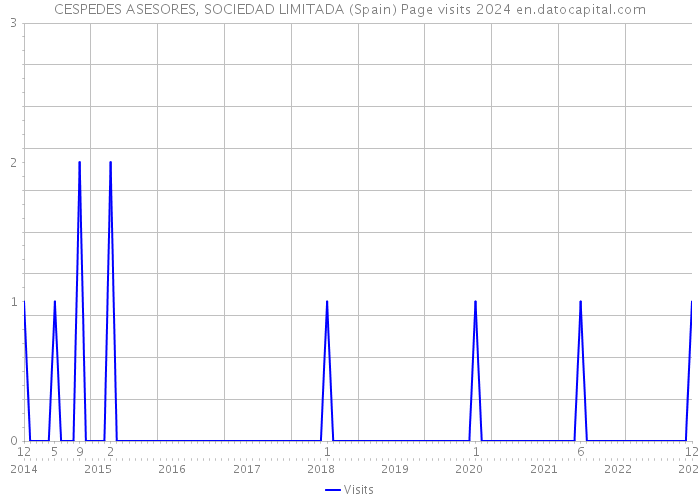 CESPEDES ASESORES, SOCIEDAD LIMITADA (Spain) Page visits 2024 
