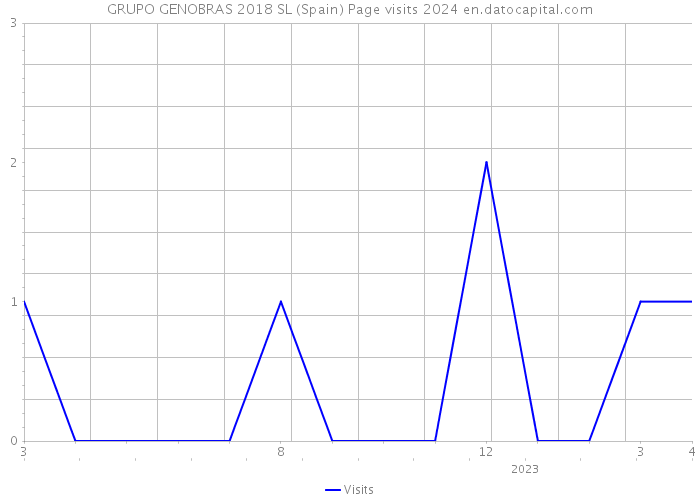 GRUPO GENOBRAS 2018 SL (Spain) Page visits 2024 