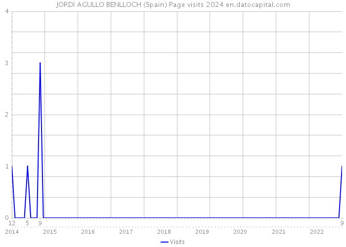 JORDI AGULLO BENLLOCH (Spain) Page visits 2024 