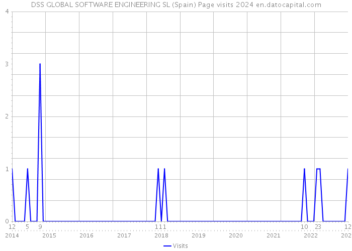 DSS GLOBAL SOFTWARE ENGINEERING SL (Spain) Page visits 2024 