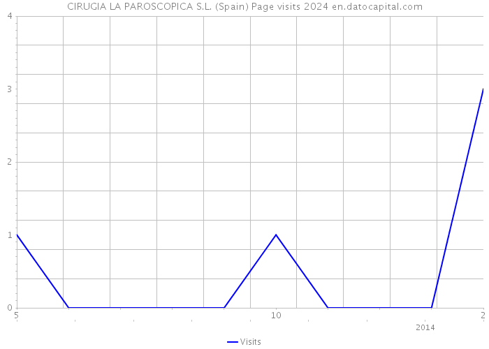 CIRUGIA LA PAROSCOPICA S.L. (Spain) Page visits 2024 