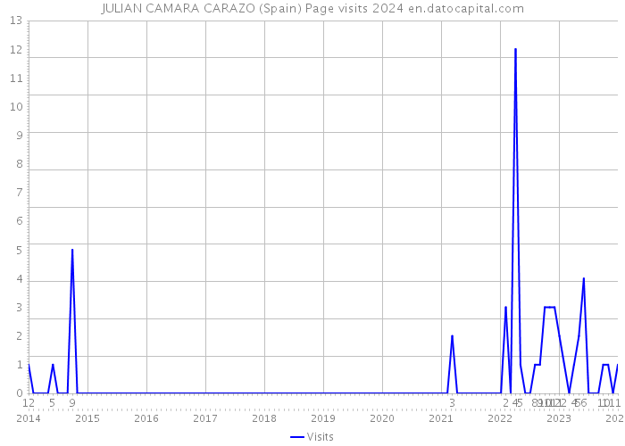 JULIAN CAMARA CARAZO (Spain) Page visits 2024 