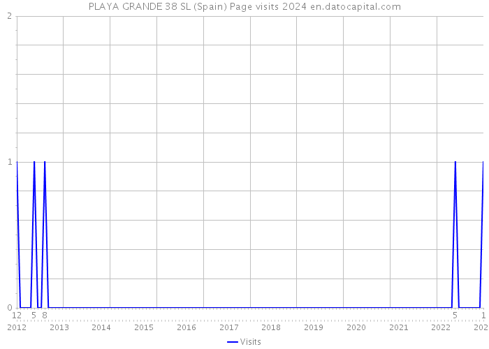 PLAYA GRANDE 38 SL (Spain) Page visits 2024 