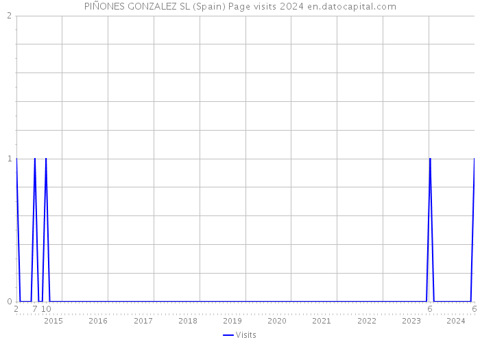 PIÑONES GONZALEZ SL (Spain) Page visits 2024 