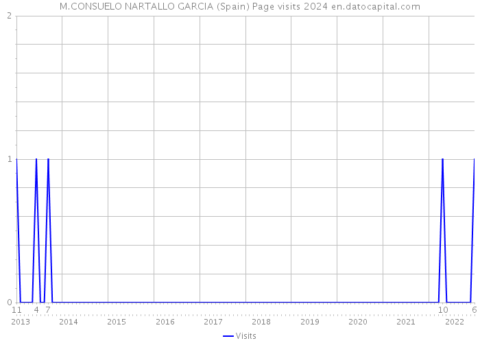 M.CONSUELO NARTALLO GARCIA (Spain) Page visits 2024 