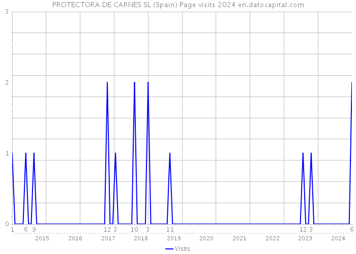 PROTECTORA DE CARNES SL (Spain) Page visits 2024 