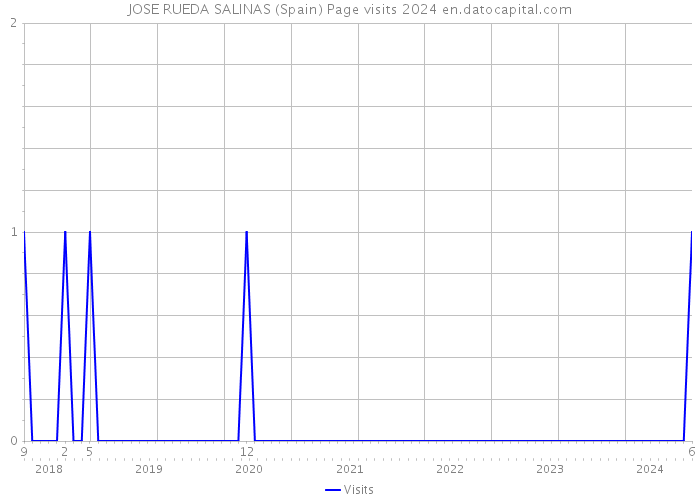 JOSE RUEDA SALINAS (Spain) Page visits 2024 