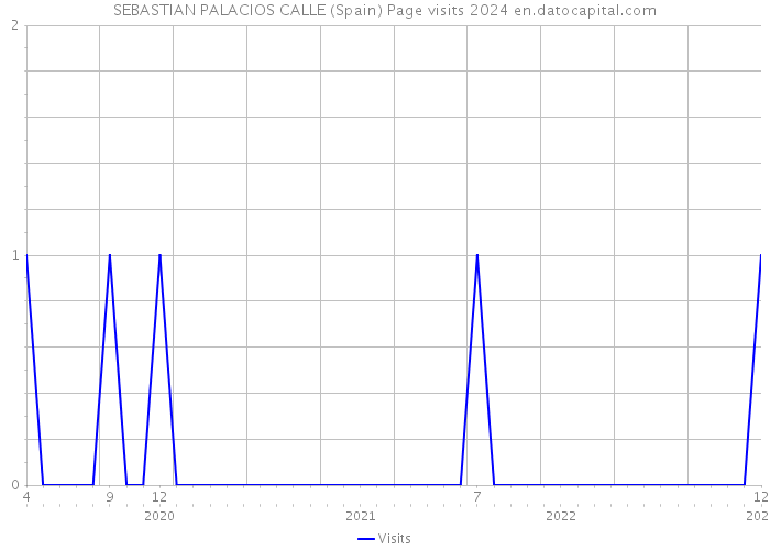 SEBASTIAN PALACIOS CALLE (Spain) Page visits 2024 