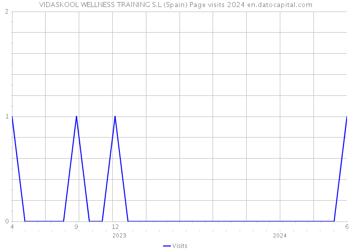 VIDASKOOL WELLNESS TRAINING S.L (Spain) Page visits 2024 