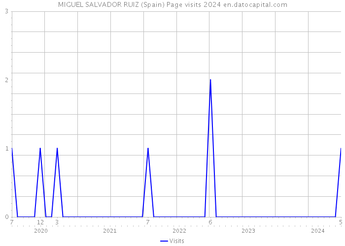MIGUEL SALVADOR RUIZ (Spain) Page visits 2024 