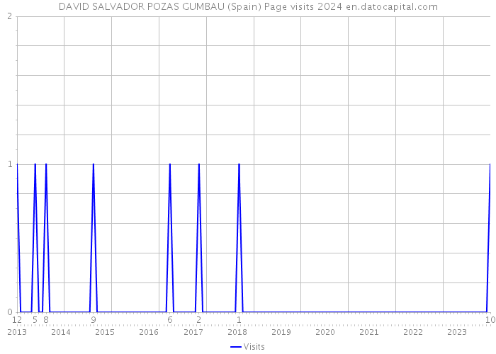 DAVID SALVADOR POZAS GUMBAU (Spain) Page visits 2024 