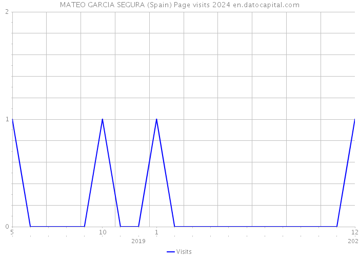 MATEO GARCIA SEGURA (Spain) Page visits 2024 