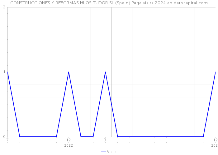 CONSTRUCCIONES Y REFORMAS HIJOS TUDOR SL (Spain) Page visits 2024 