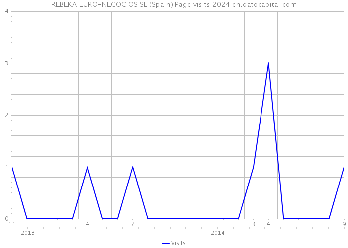 REBEKA EURO-NEGOCIOS SL (Spain) Page visits 2024 