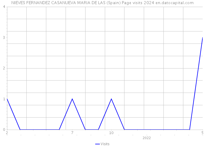 NIEVES FERNANDEZ CASANUEVA MARIA DE LAS (Spain) Page visits 2024 