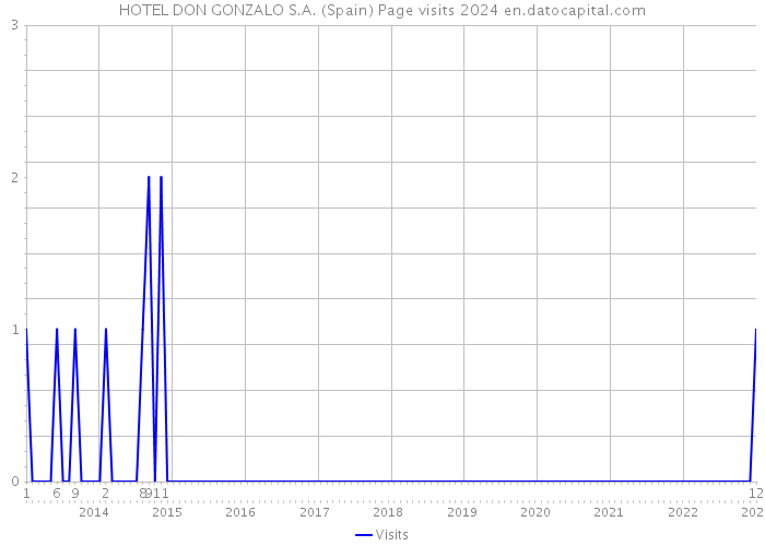 HOTEL DON GONZALO S.A. (Spain) Page visits 2024 