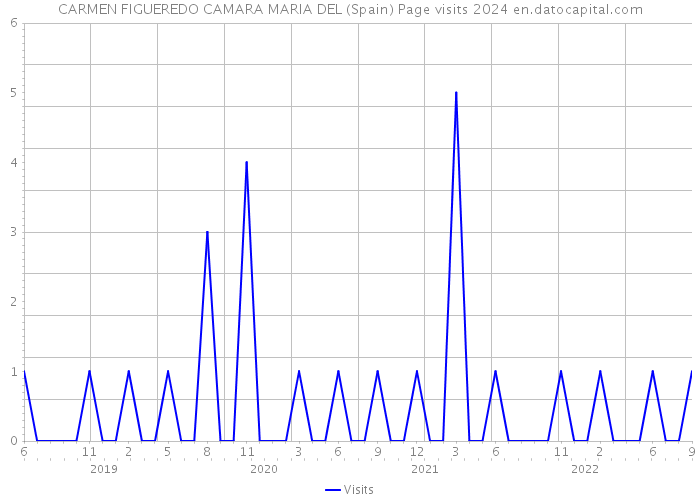 CARMEN FIGUEREDO CAMARA MARIA DEL (Spain) Page visits 2024 