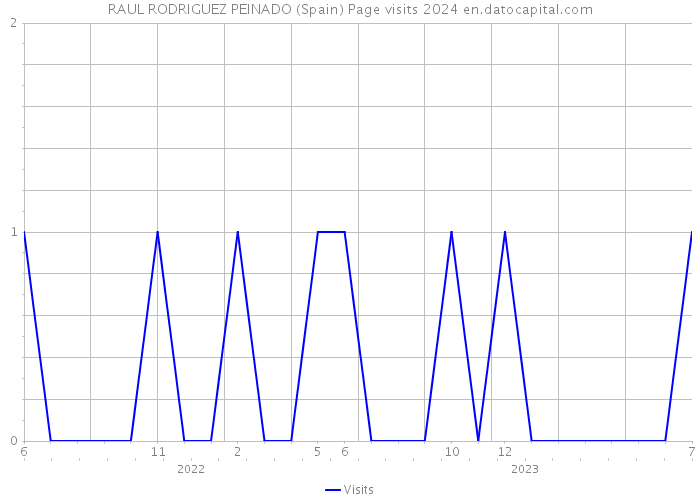 RAUL RODRIGUEZ PEINADO (Spain) Page visits 2024 