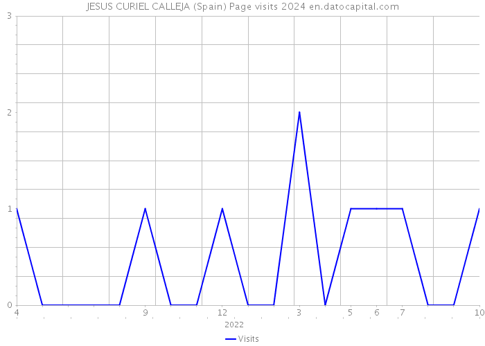 JESUS CURIEL CALLEJA (Spain) Page visits 2024 