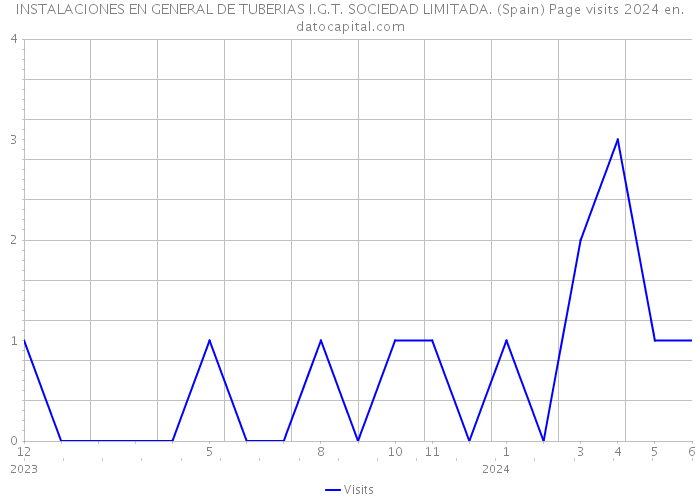 INSTALACIONES EN GENERAL DE TUBERIAS I.G.T. SOCIEDAD LIMITADA. (Spain) Page visits 2024 