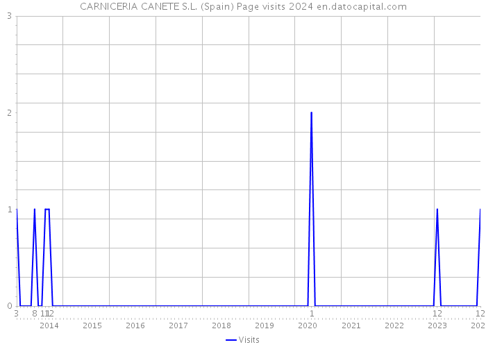 CARNICERIA CANETE S.L. (Spain) Page visits 2024 