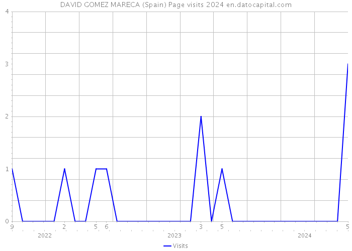 DAVID GOMEZ MARECA (Spain) Page visits 2024 