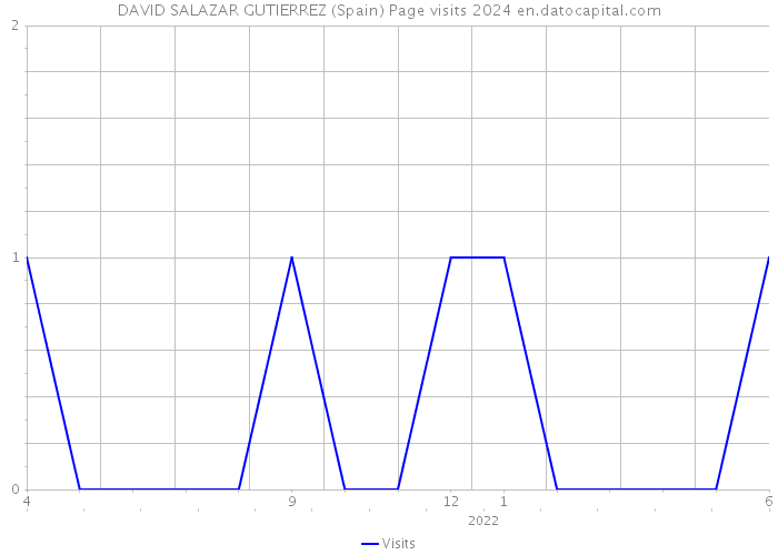 DAVID SALAZAR GUTIERREZ (Spain) Page visits 2024 