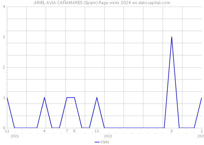 ARIEL AVIA CAÑAMARES (Spain) Page visits 2024 