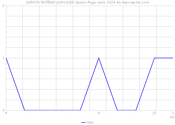 ZAPATA MOÑINO JUAN JOSE (Spain) Page visits 2024 