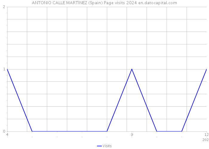 ANTONIO CALLE MARTINEZ (Spain) Page visits 2024 