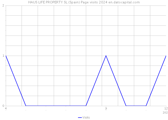 HAUS LIFE PROPERTY SL (Spain) Page visits 2024 