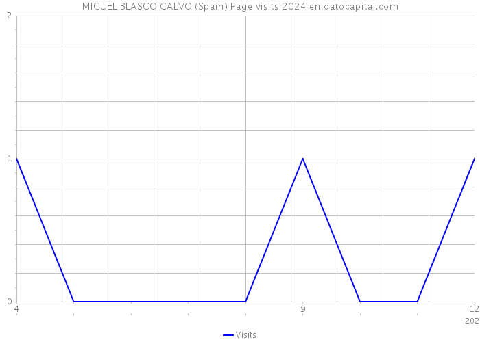 MIGUEL BLASCO CALVO (Spain) Page visits 2024 