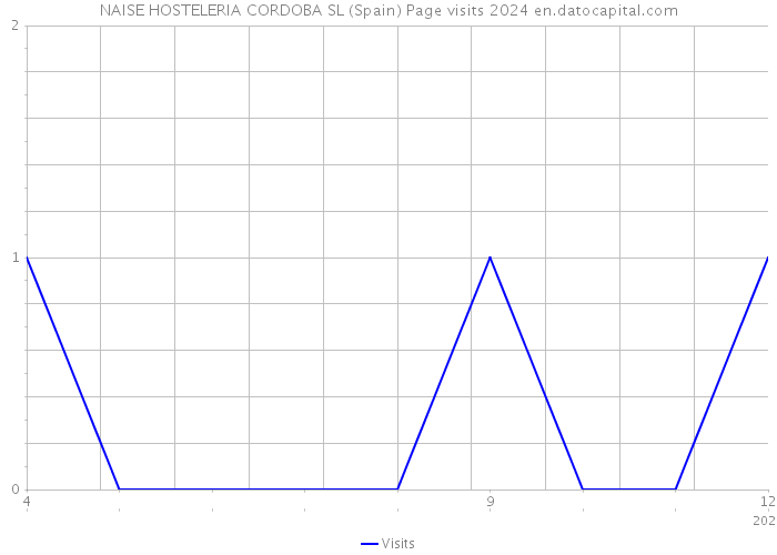 NAISE HOSTELERIA CORDOBA SL (Spain) Page visits 2024 