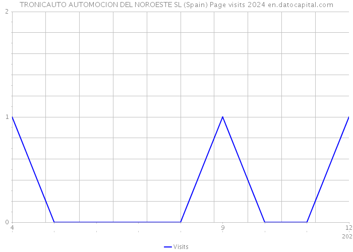 TRONICAUTO AUTOMOCION DEL NOROESTE SL (Spain) Page visits 2024 