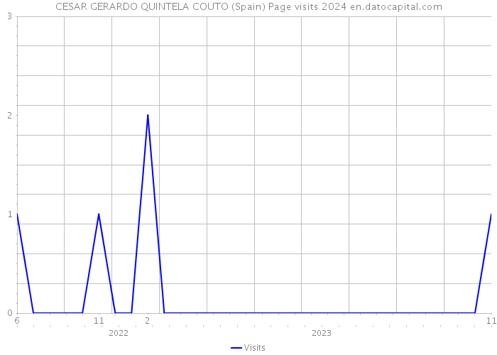 CESAR GERARDO QUINTELA COUTO (Spain) Page visits 2024 