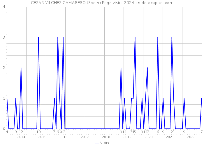 CESAR VILCHES CAMARERO (Spain) Page visits 2024 