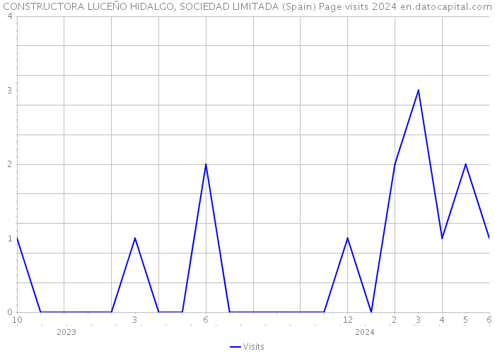 CONSTRUCTORA LUCEÑO HIDALGO, SOCIEDAD LIMITADA (Spain) Page visits 2024 