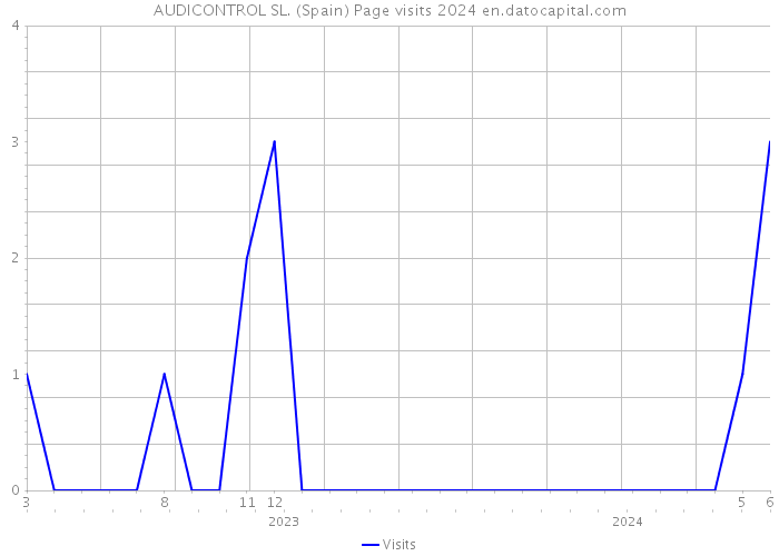 AUDICONTROL SL. (Spain) Page visits 2024 
