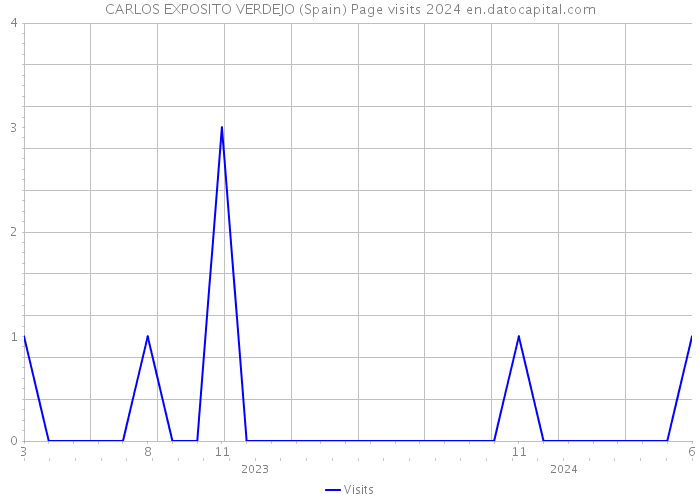 CARLOS EXPOSITO VERDEJO (Spain) Page visits 2024 