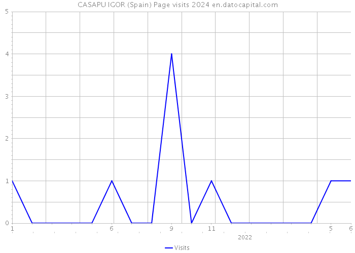 CASAPU IGOR (Spain) Page visits 2024 