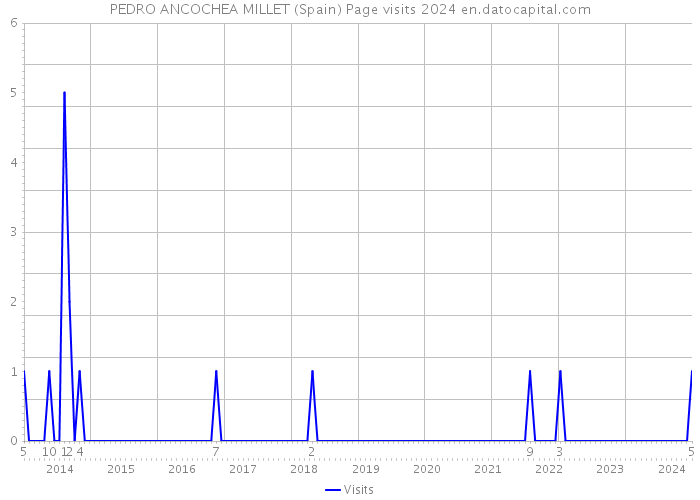 PEDRO ANCOCHEA MILLET (Spain) Page visits 2024 