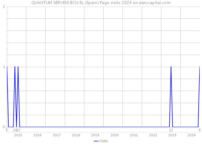 QUANTUM SERVEIS BCN SL (Spain) Page visits 2024 