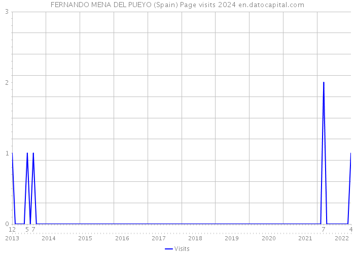 FERNANDO MENA DEL PUEYO (Spain) Page visits 2024 