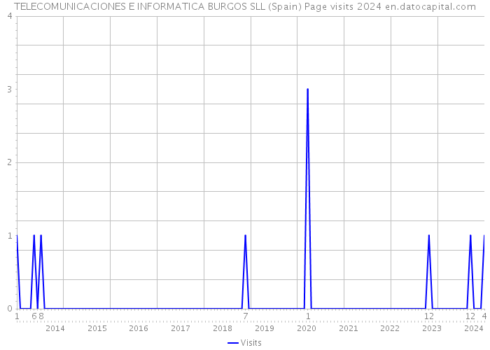 TELECOMUNICACIONES E INFORMATICA BURGOS SLL (Spain) Page visits 2024 