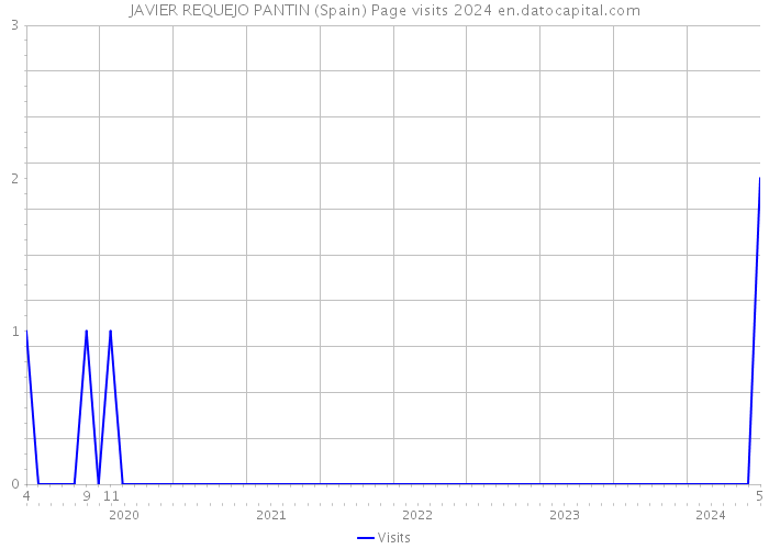 JAVIER REQUEJO PANTIN (Spain) Page visits 2024 