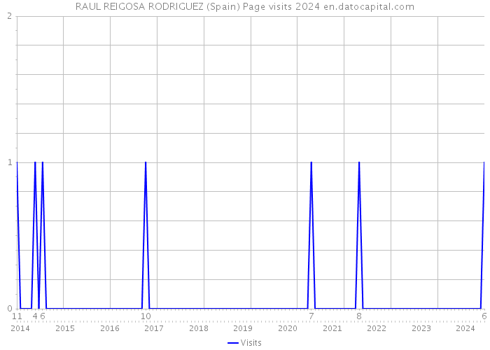 RAUL REIGOSA RODRIGUEZ (Spain) Page visits 2024 