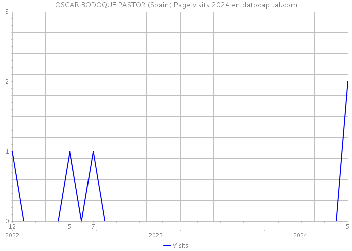 OSCAR BODOQUE PASTOR (Spain) Page visits 2024 