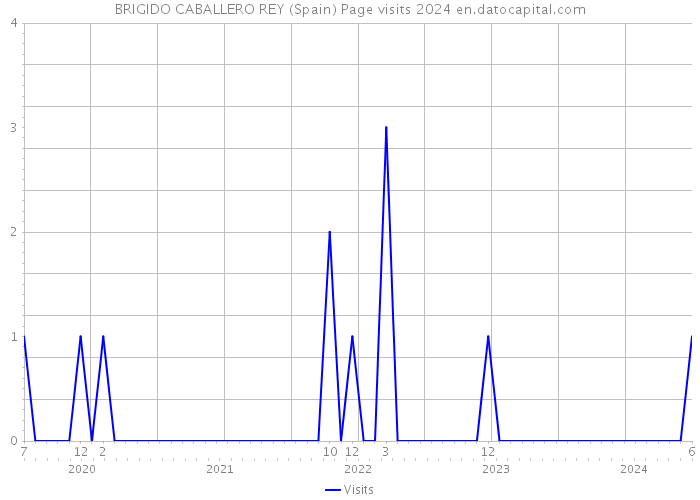 BRIGIDO CABALLERO REY (Spain) Page visits 2024 