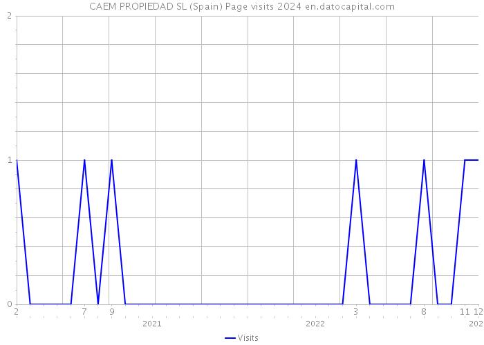 CAEM PROPIEDAD SL (Spain) Page visits 2024 